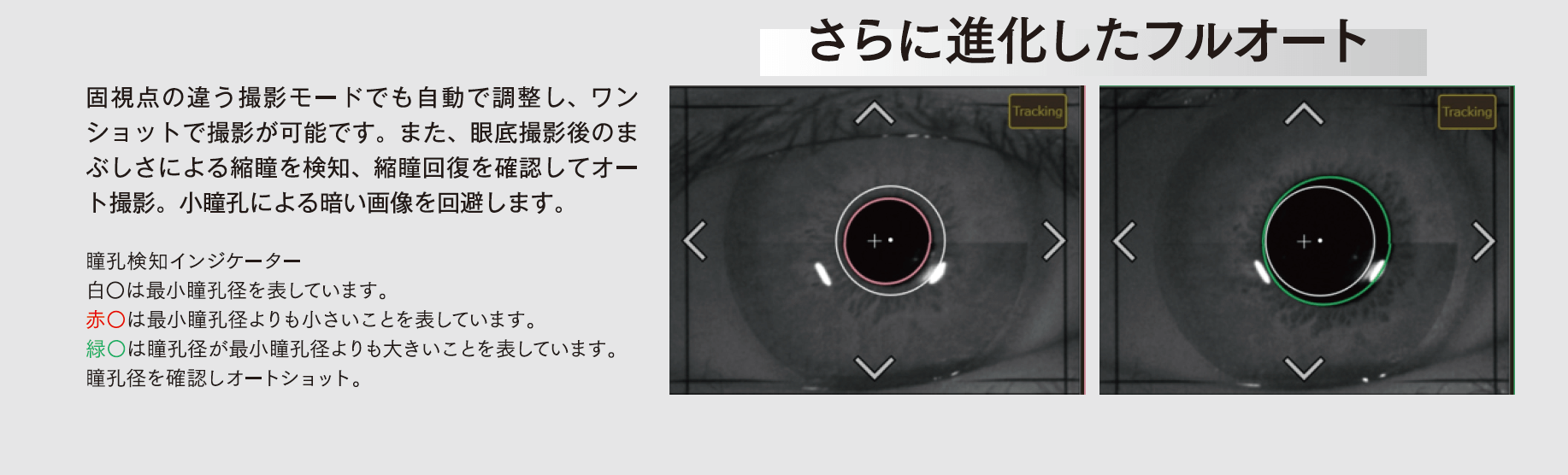 さらに進化したフルオート